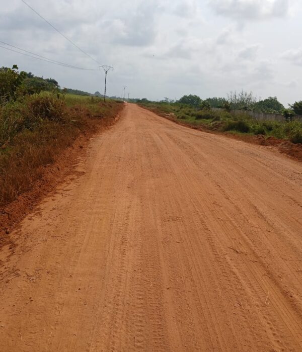 Projet de Reprofilage